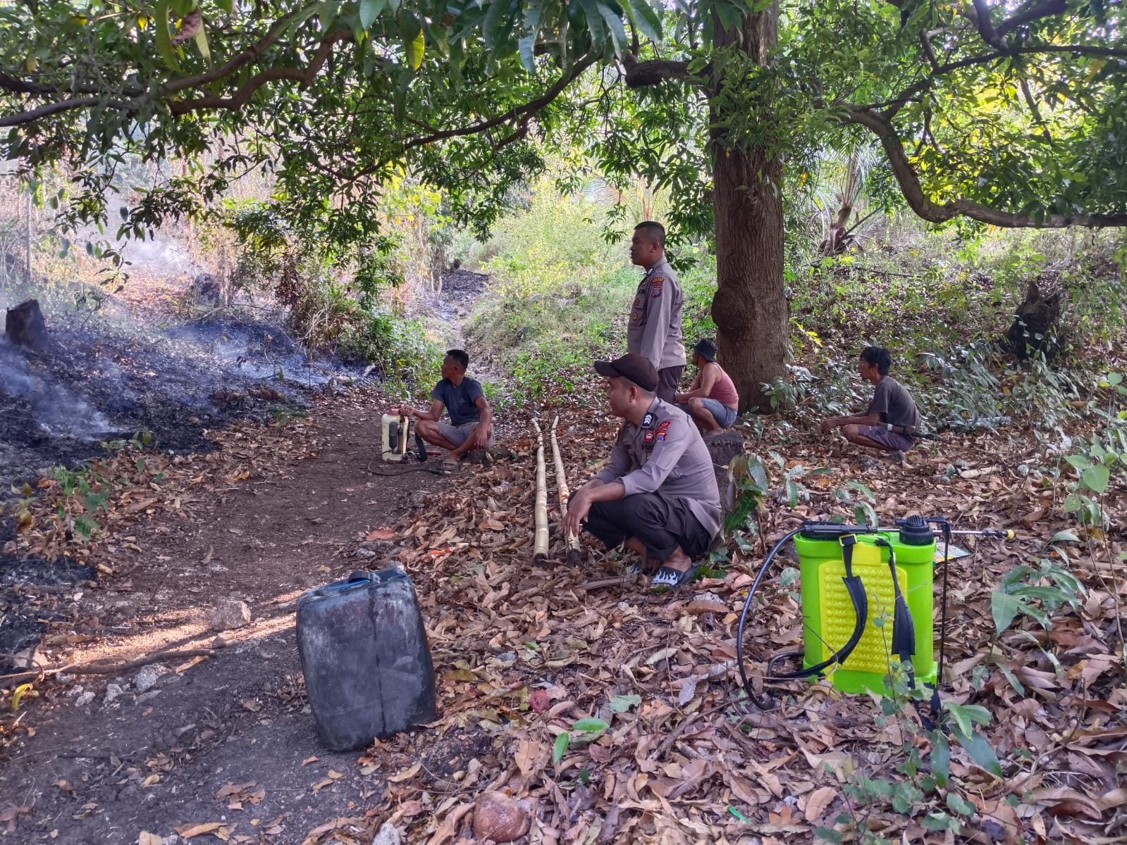 Diduga Buang Rokok Sembarangan, Lahan di Pulodalagan Hangus